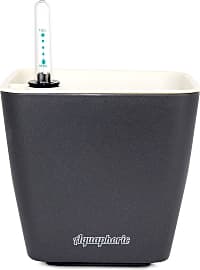 Window Garden Aquaphoric