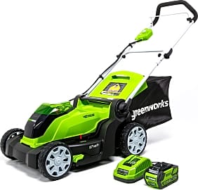 Greenworks 2508302