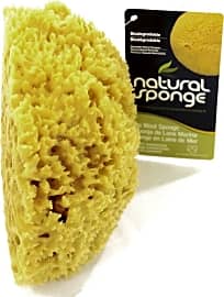 The Natural Sea Sponge
