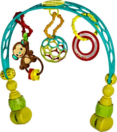 Bright Starts Oball Flex 'n Go