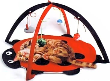 Petty Love House Activity Center