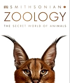 Zoology: Inside the Secret World of Animals