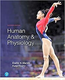 Human Anatomy & Physiology