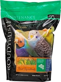 RoudyBush Daily Maintenance