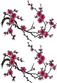 Emma’s Cherry Blossom