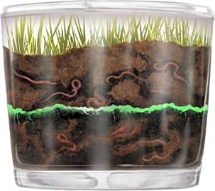 Nature Gift Store Observation Kit