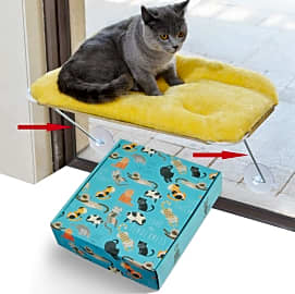 LsaiFater All Around