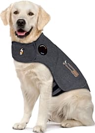 Thunder Shirt Classic