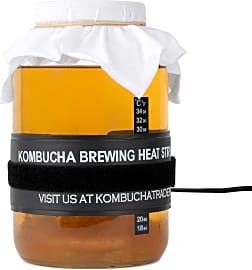 KitchenToolz Kombucha Starter