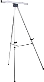 Displays2Go EAS3769SLV