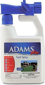 Adams Plus