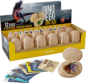 Dino Discover Kit