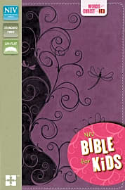 NIV for Kids