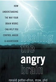 Healing the Angry Brain