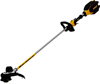 DeWalt XR