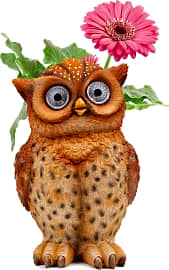 Blazin Owl Planter