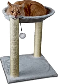 Paws & Pals Tree House