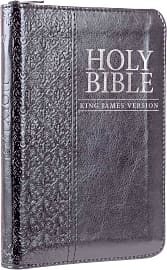 KJV Mini Edition