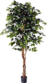 Nearly Natural Ficus