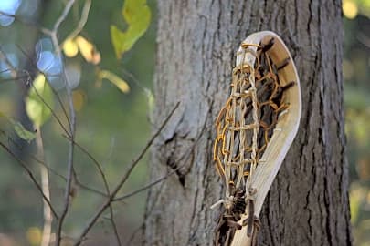 Skaggs Woodworks Twigg