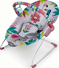 Bright Starts Bouncer