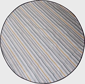 Prince Lionheart Catchall