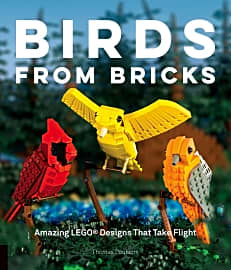 Birds From Bricks