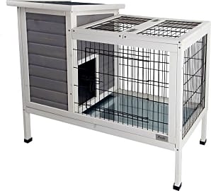 Petsfit Indoor