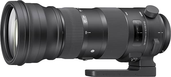 Sigma 150-600mm f/5-6.3 Sports
