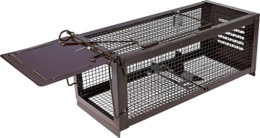 RatzFatz Cage