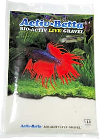 Activ Betta White