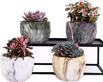 Winemana Modern Containers