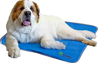 Green Pet Shop Mat