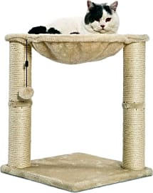 AmazonBasics Hammock