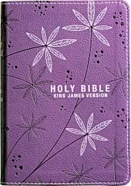 Christian Art Publishers KJV