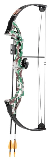 Bear Archery Brave