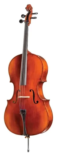D Z Strad Model 101