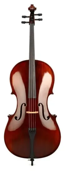 Eastman VC305