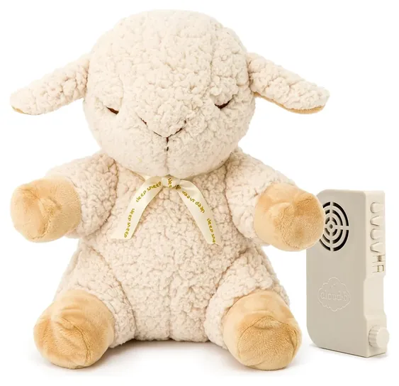 Cloud b Sleep Sheep