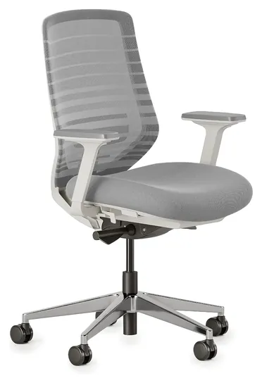 Branch Ergonomic Chair