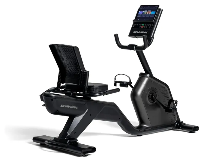 Schwinn 290