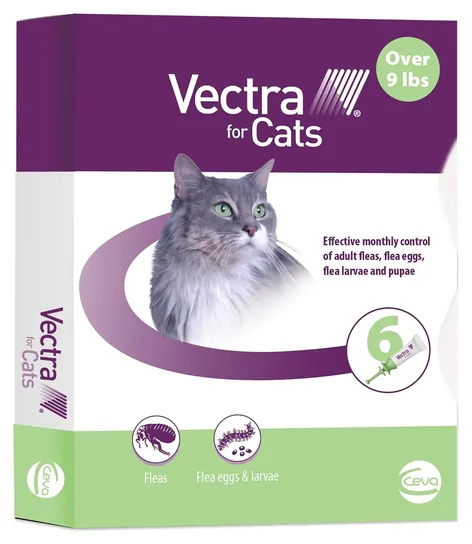 Vectra for Cats