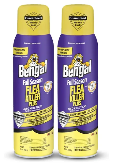 Bengal Full Season