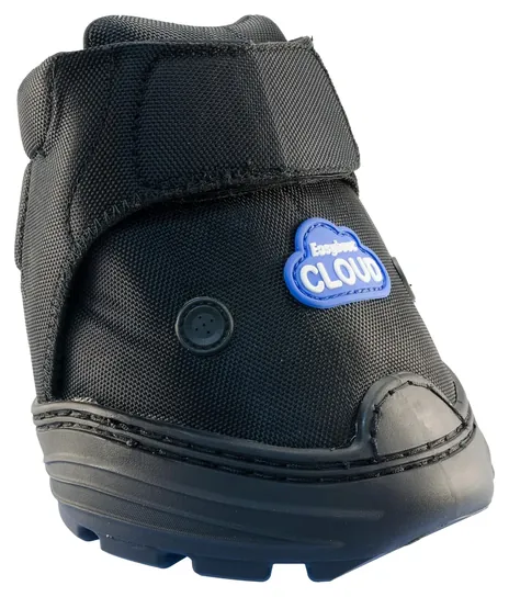 Easyboot Cloud