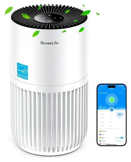 GoveeLife Smart Mini
