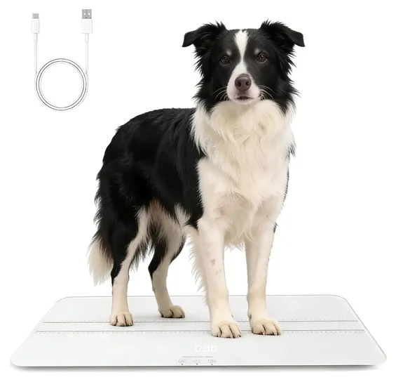 Mindpet-Med Rechargeable