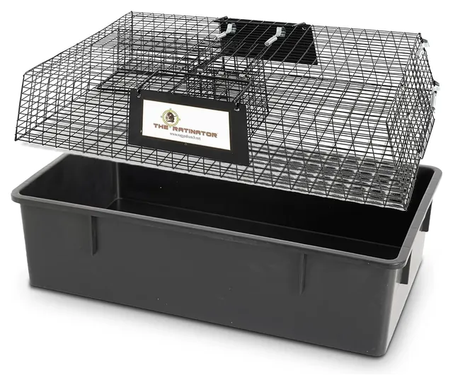 Rugged Ranch Ratinator