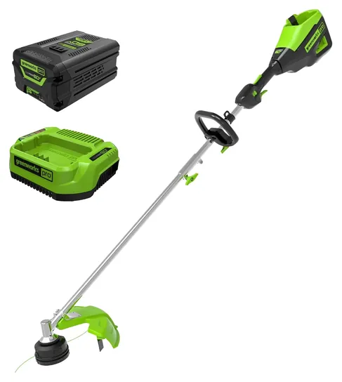 Greenworks 60V ST60L413