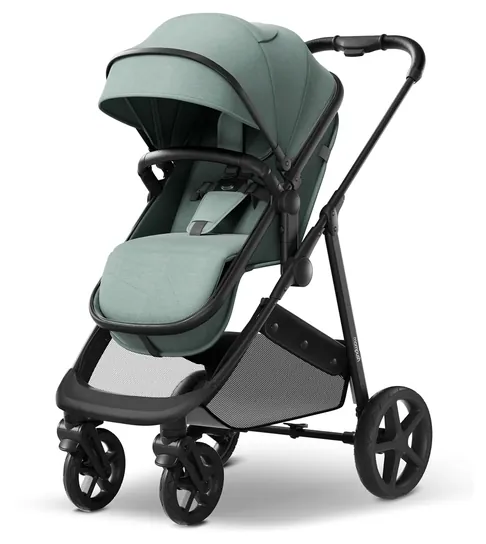 Mompush Wiz