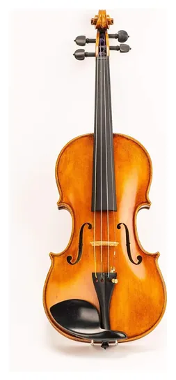 D Z Strad 509